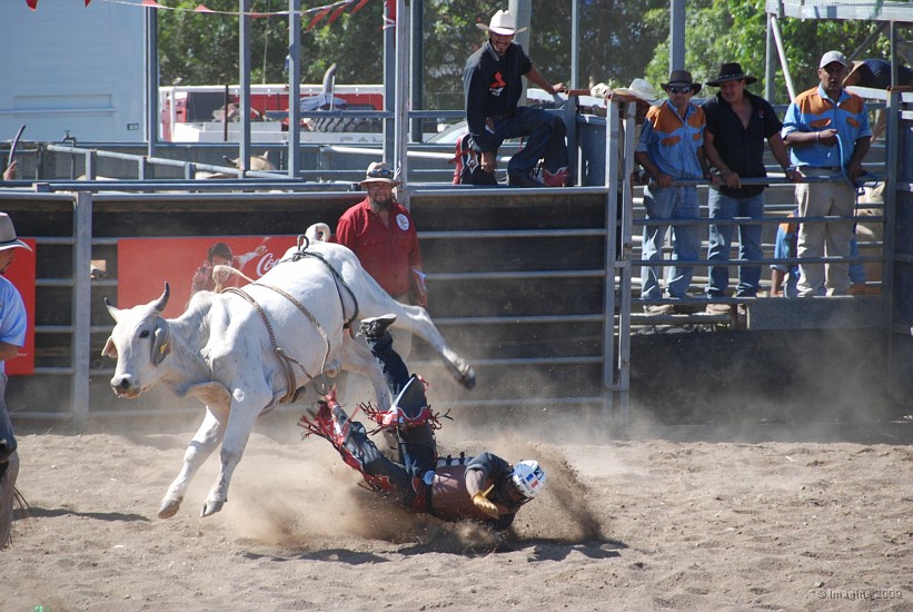 10.42- Rodeo sur taureau.JPG